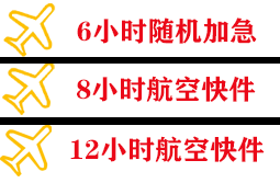 龙湾航空快运快递公司,专业空运当天件